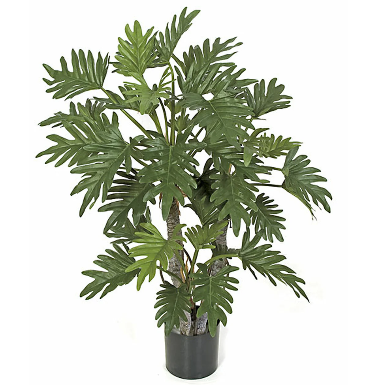 40" Selloum Philodendron Silk Plant w/Pot -Green