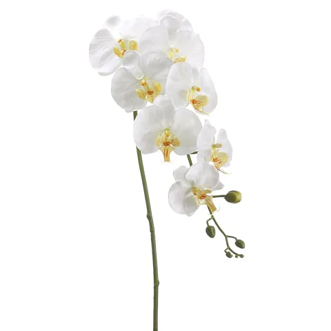 40" Silk Phalaenopsis Orchid Flower Spray -Cream/Yellow (Pack of 12)