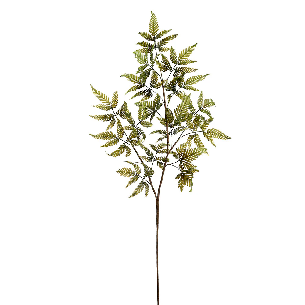 40" Silver Cloak Fern Leaf Silk Stem -2 Tone Green (Pack of 12)