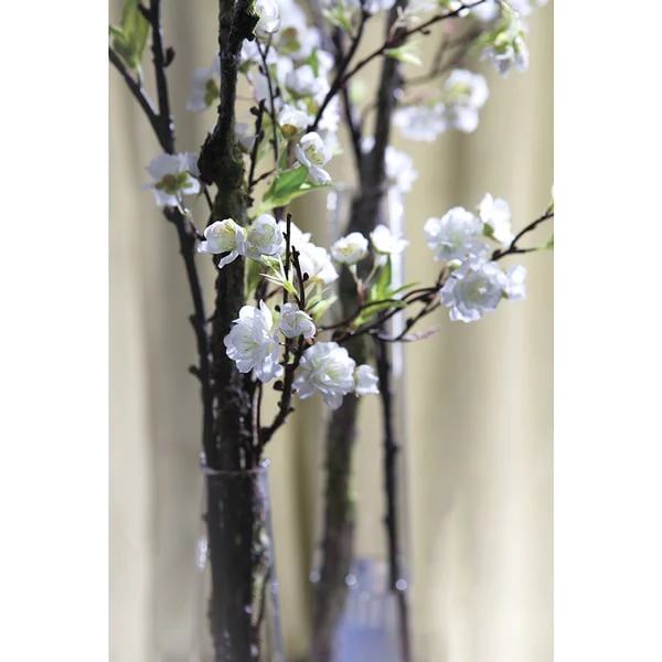40"Hx19"W Silk Cherry Blossom Flower Arrangement w/Glass Vase -White - Image 2