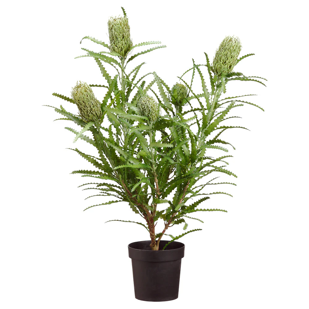 41" Blooming Banksia Flower Silk Plant w/Pot -Green/Gray