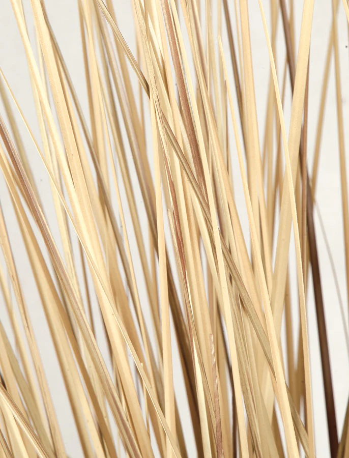 41" IFR PVC Onion Grass Artificial Plant w/Pot -Beige/Brown (Pack of 2) - Image 2