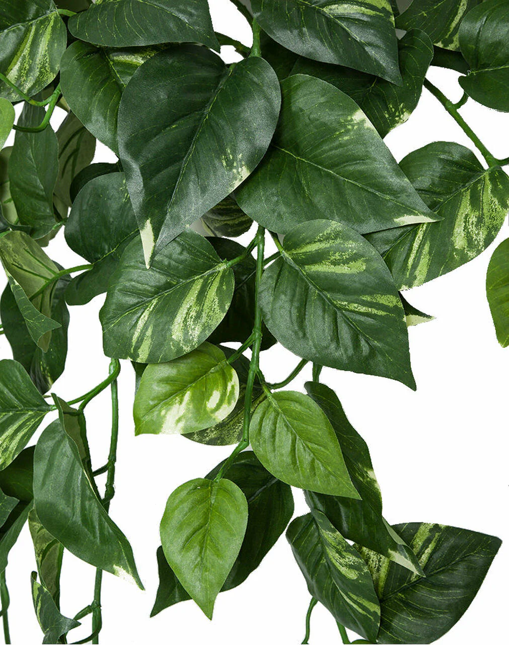 41" IFR Variegated Pothos Artificial Hanging Plant -Green (Pack of 4) - Image 2
