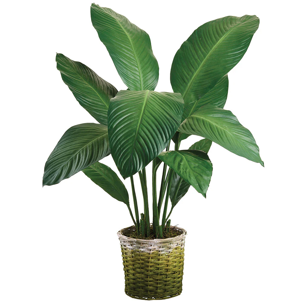 41" Peace Lily Spathiphyllum Leaf Silk Plant w/Basket -Green (Pack of 2)