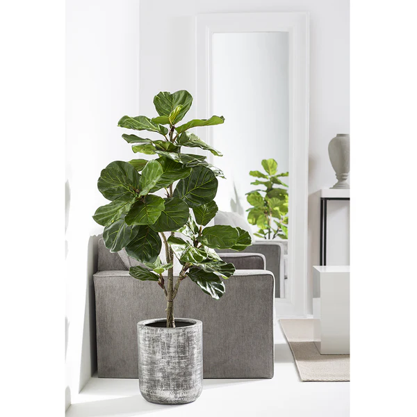 4'10" Silk Fiddle Leaf Fig Tree w/Planter -Green - Image 2