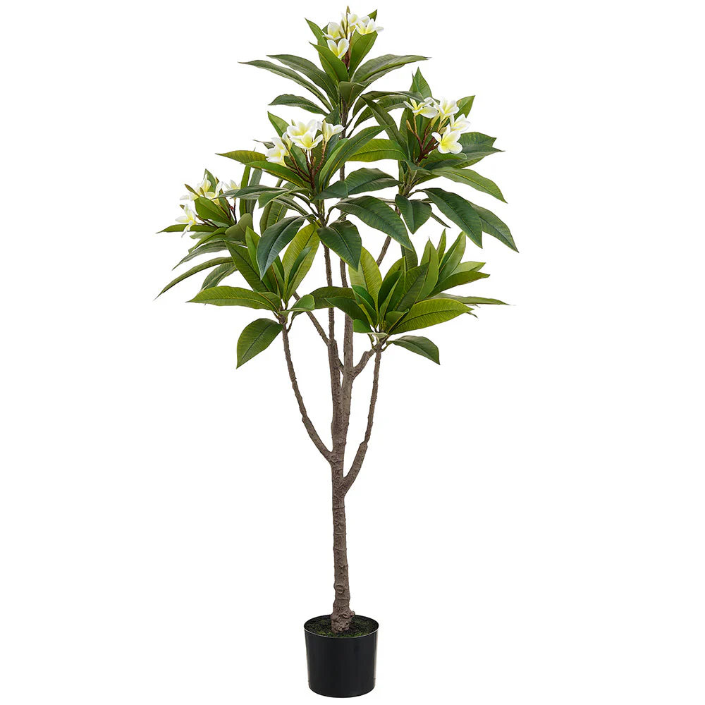 4'11" Flowering Frangipani Plumeria Leaf Silk Tree w/Plastic Pot -White/Yellow
