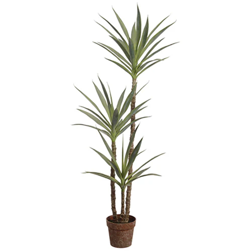 4'11" Silk Yucca Tree w/Pot -Green (Pack of 2)