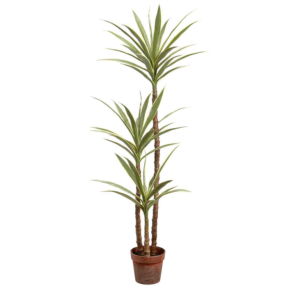 4'11" Silk Yucca Tree w/Pot -Variegated (Pack of 2)