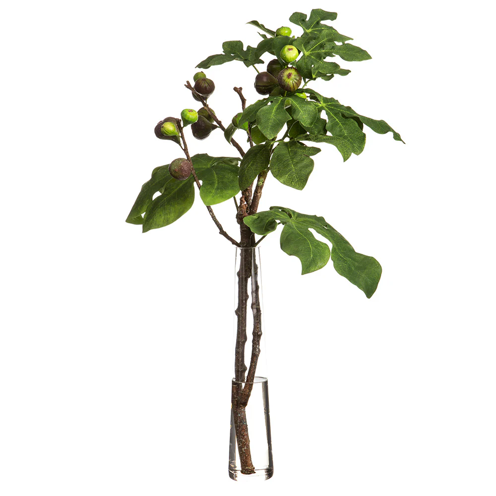 41"Hx25"W Artificial Fig Branches w/Glass Vase -Green/Burgundy