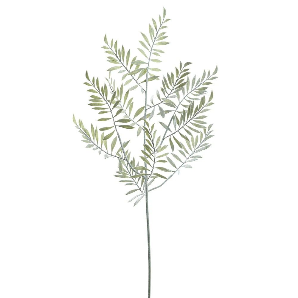42.5" Artificial Formosa Acacia Stem -Gray/Green (Pack of 6)