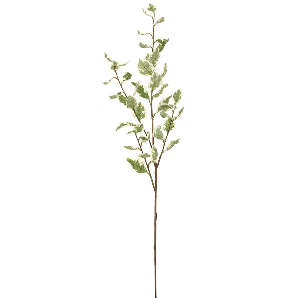 42.5" Euonymus Leaf Silk Stem -Green/Variegated (Pack of 12)
