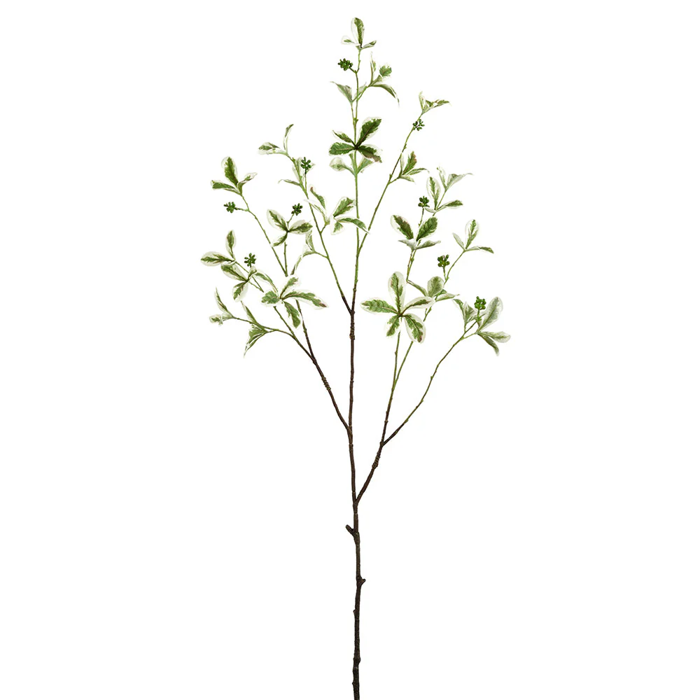 42.9" Silk Madagascar Almond Leaf Tree Branch Stem -Green/Cream (Pack of 12)