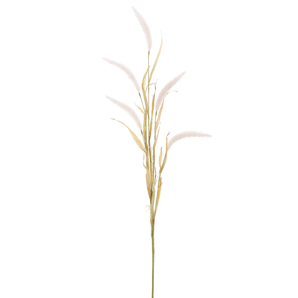 42" Blooming Foxtail Grass Silk Flower Stem -Cream (Pack of 12)