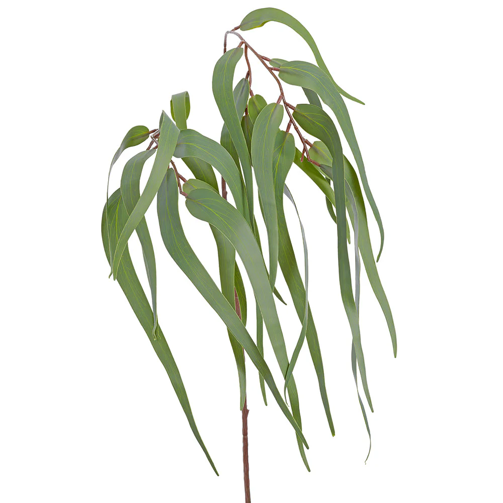 42" Eucalyptus Leaf Silk Stem -Green (Pack of 12)