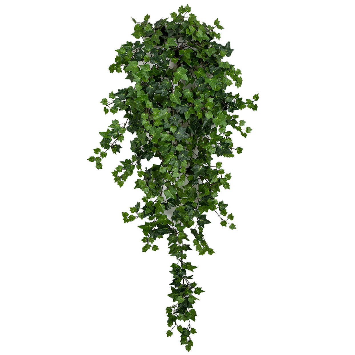 42" IFR Curly Ivy Artificial Hanging Plant -739 Leaves -Green (Pack of 4)