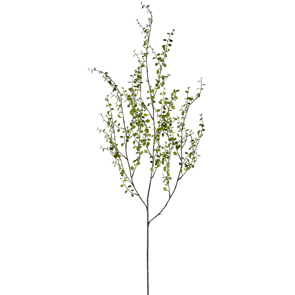 42" Muehlenbeckia Wire Leaf Silk Stem -Green (Pack of 12)
