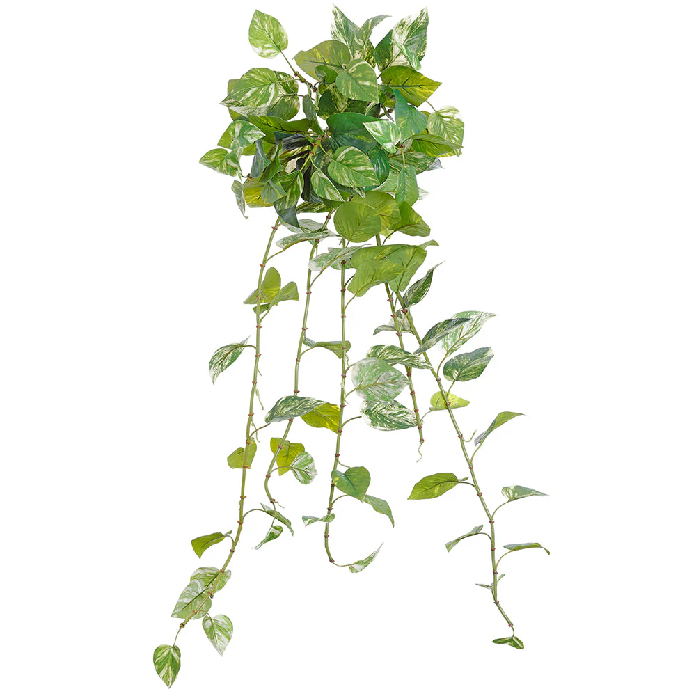 42" Silk Marble Pothos Leaf Hanging Plant -Green/White (Pack of 6)