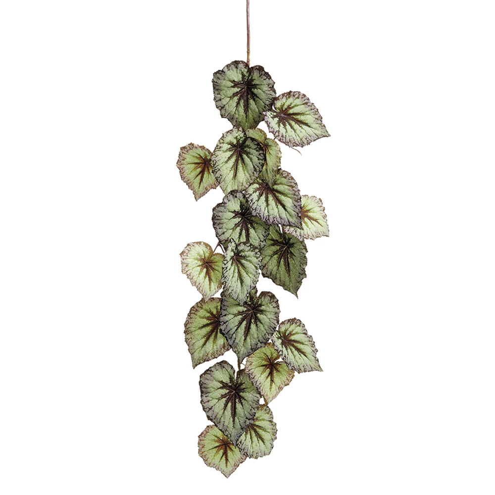 43" Hanging Silk Begonia Leaf Stem -Green/Purple (Pack of 12)