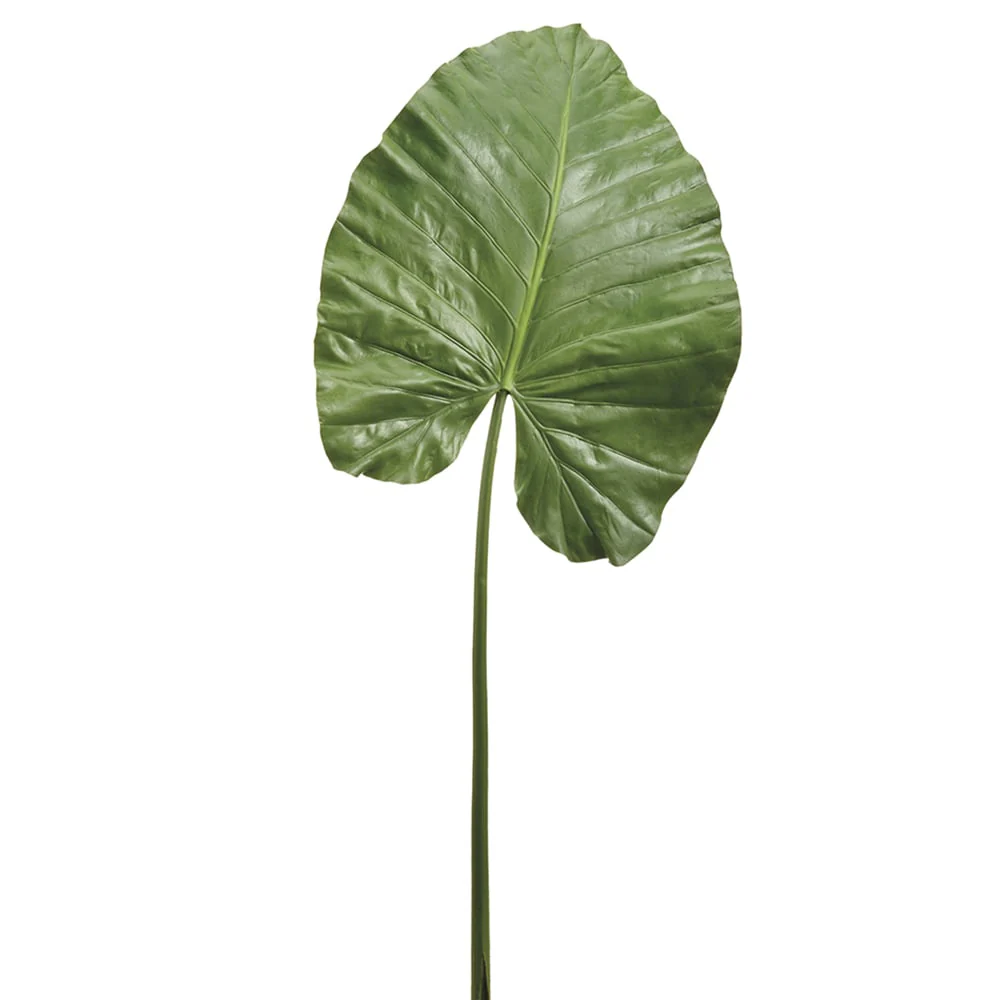 43" Silk Elephant Ear Leaf Stem -Green (Pack of 12)