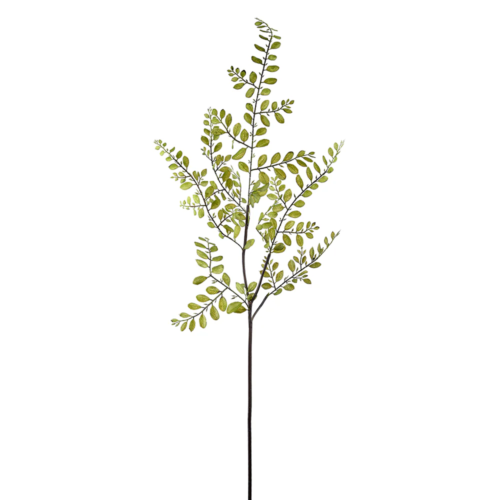 44.5" Silk Sophora Japonica Leaf Stem -Green (Pack of 12)