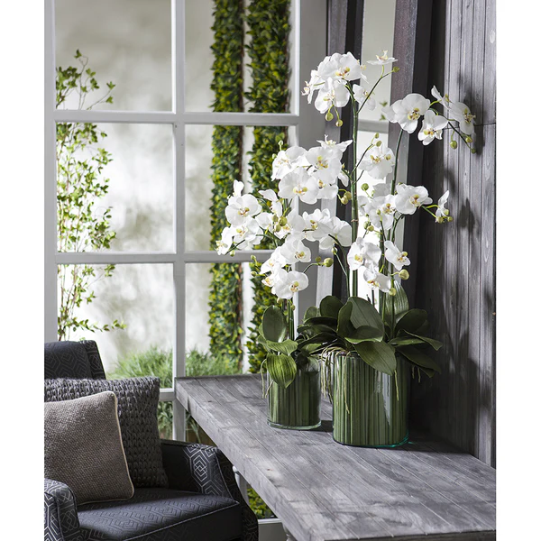 44" Silk Orchid Flower Arrangement w/Soil & Glass Vase -White/Green - Image 2