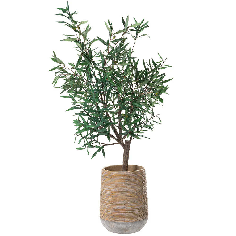 4'4"Hx38"W Olive Leaf Artificial Tree w/Cement Planter -Green