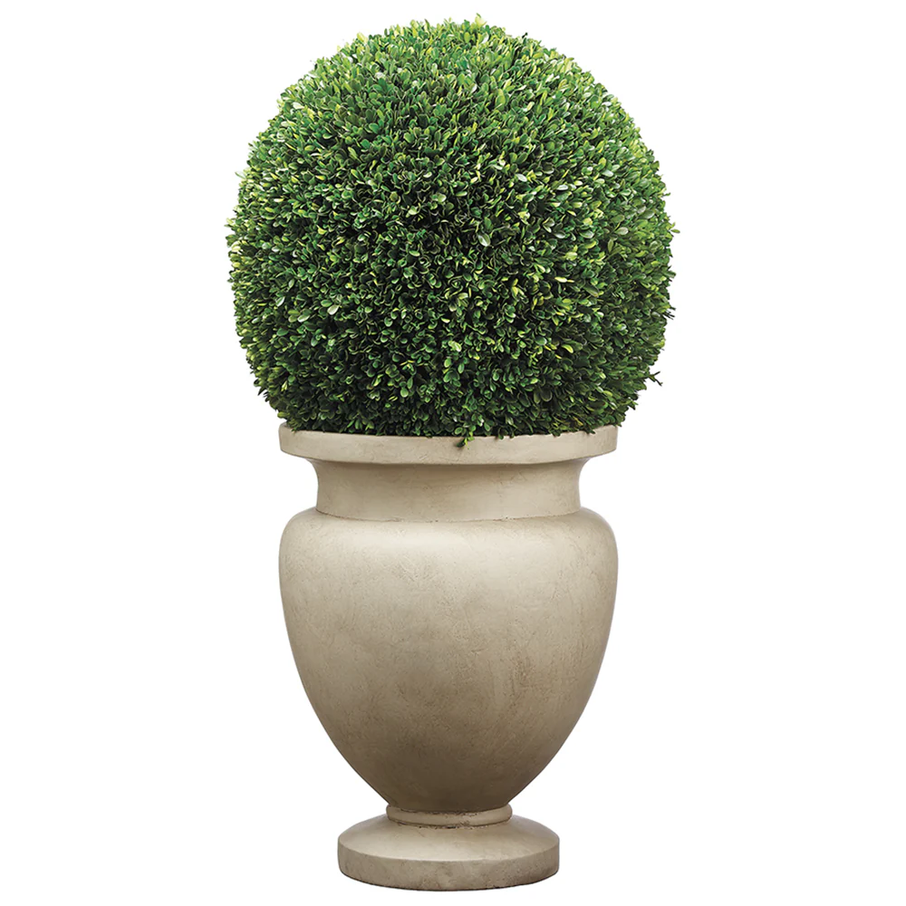 45"Hx23"W Preserved Boxwood Ball-Shaped Topiary Plant w/Cement Planter -Green