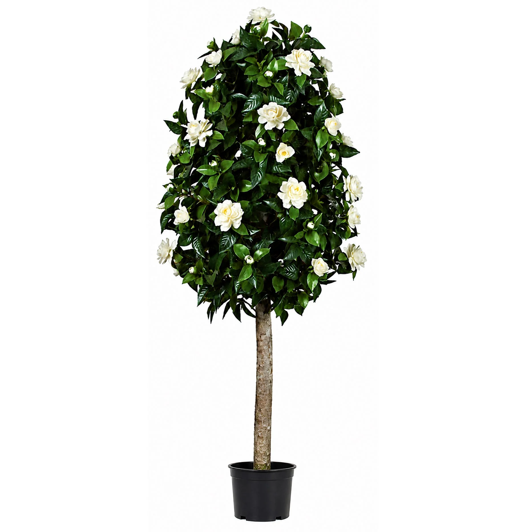 4'6" Custom-Made Outdoor UV-Proof Artificial Gardenia Flower Ball-Shaped Topiary w/Pot -White