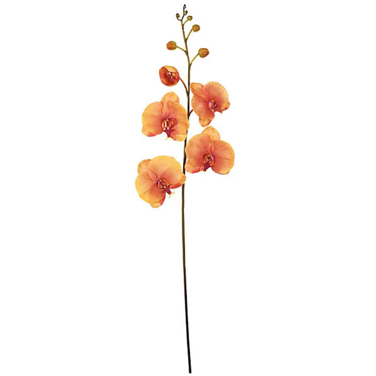 46" Phalaenopsis Orchid Silk Flower Stem -Coral (Pack of 4)