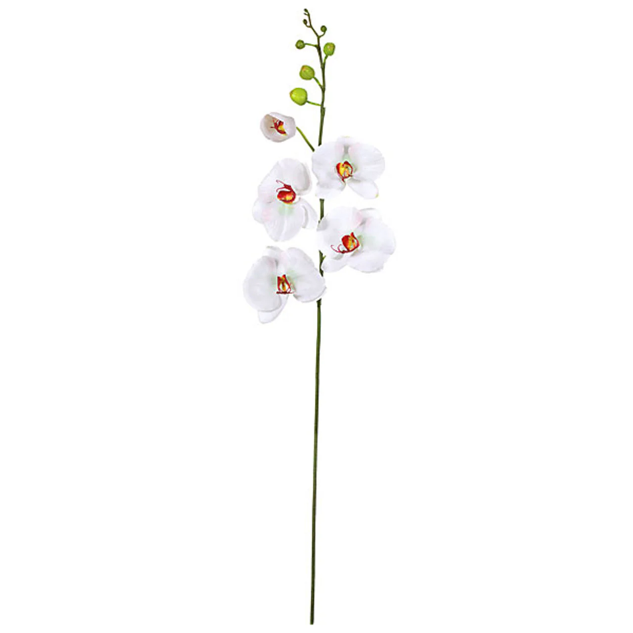 46" Phalaenopsis Orchid Silk Flower Stem -White/Cream (Pack of 4)