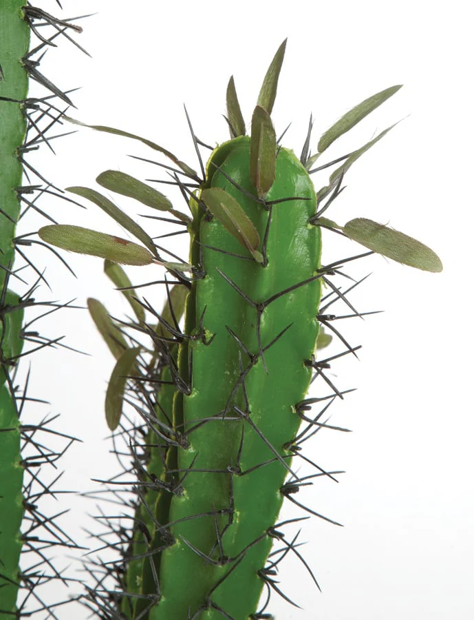 46" Plastic Finger Cactus Artificial Stem -Green (Pack of 3) - Image 2