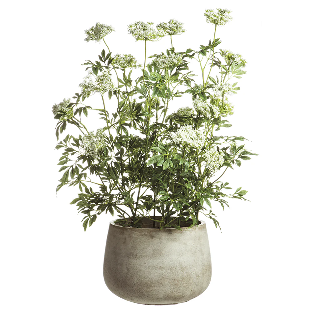 46" Silk Queen Anne's Lace Flower Arrangement w/Cement Pot -Green/White