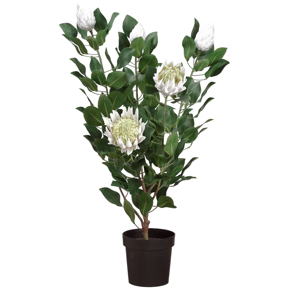 47" Artificial Blooming King Protea Flower Plant w/Pot -Cream