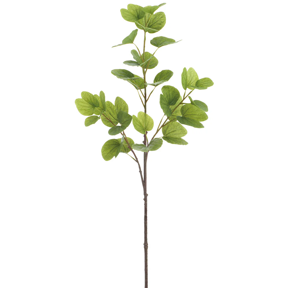 47" Bauhinia Hong Kong Orchid Tree Silk Stem -Green (Pack of 6)