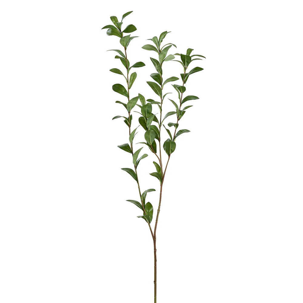 47" Ruscus Hypophyllum Leaf Artificial Stem -Green (Pack of 6)