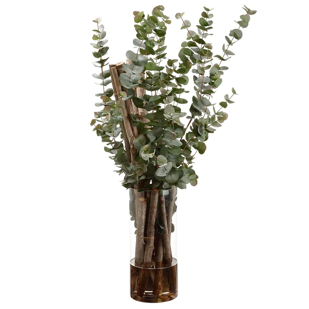 47" Silk Eucalyptus Plant & Branches Arrangement w/Glass Vase -Green