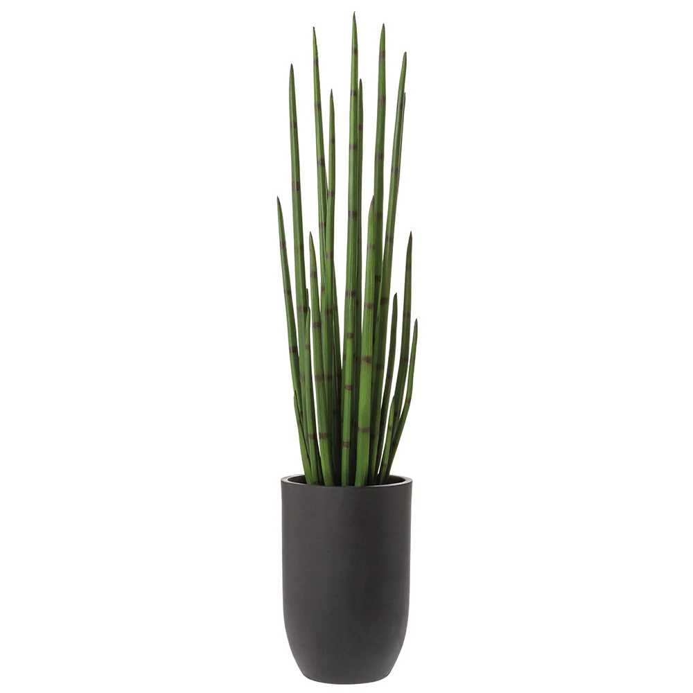 4'7"Hx11.5"W Sansevieria Snake Artificial Plant w/Cement Planter -Green