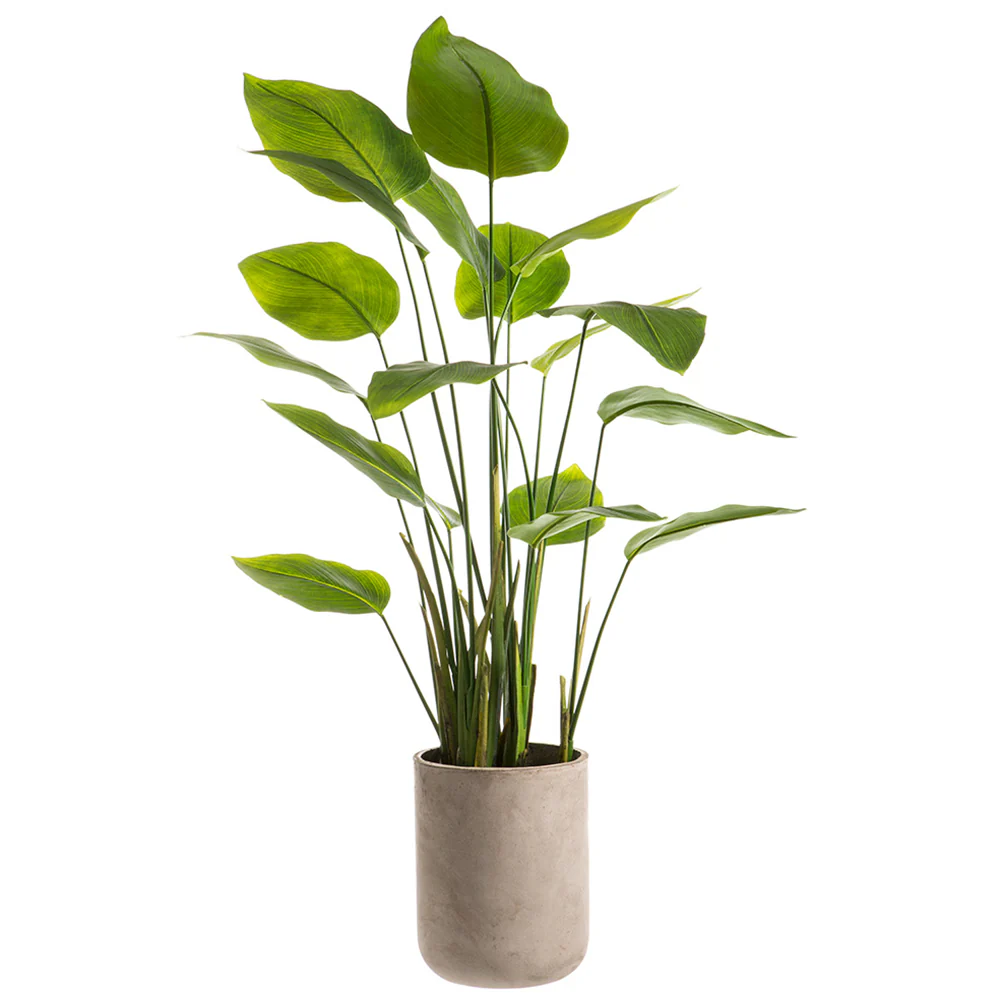 4'7"Hx26"W Silk Banana Leaf Palm Tree w/Cement Planter -Green