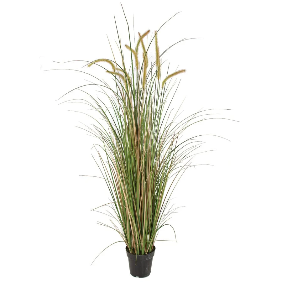 4'8" IFR PVC Foxtail Onion Grass Artificial Plant w/Pot -Cream/Green (Pack of 4)