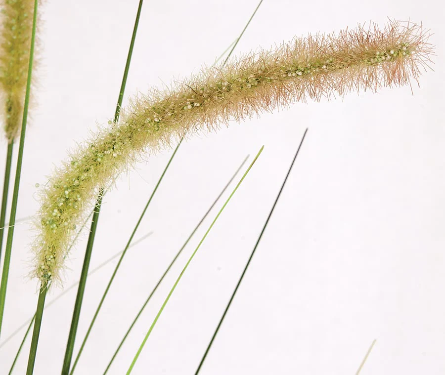 4'8" IFR PVC Foxtail Onion Grass Artificial Plant w/Pot -Cream/Green (Pack of 4) - Image 3