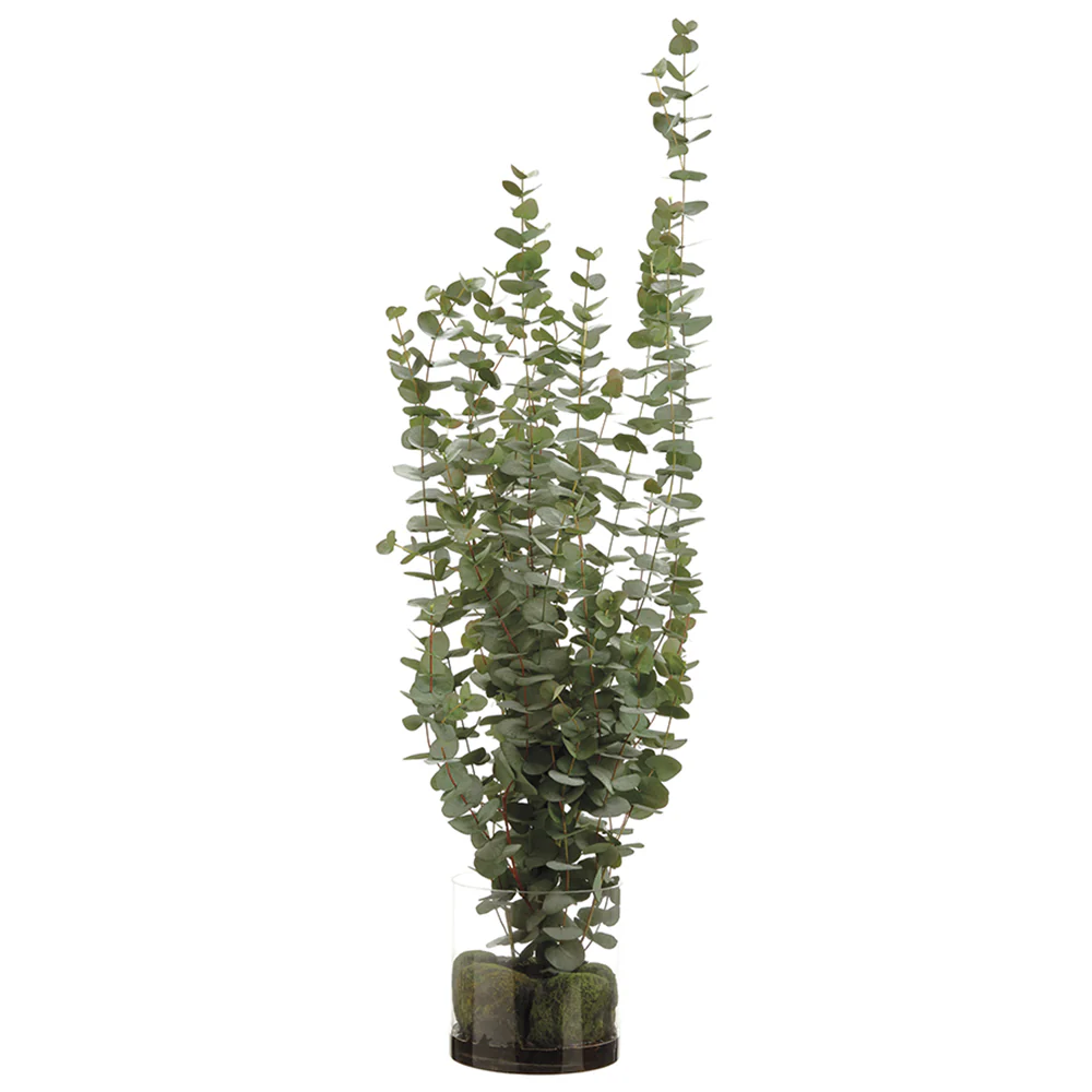 4'8" Silk Eucalyptus Plant w/Glass Vase -Green