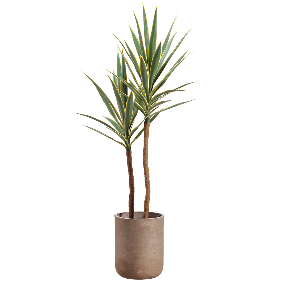 4'8" Silk Yucca Tree w/Cement Pot -Green/Cream