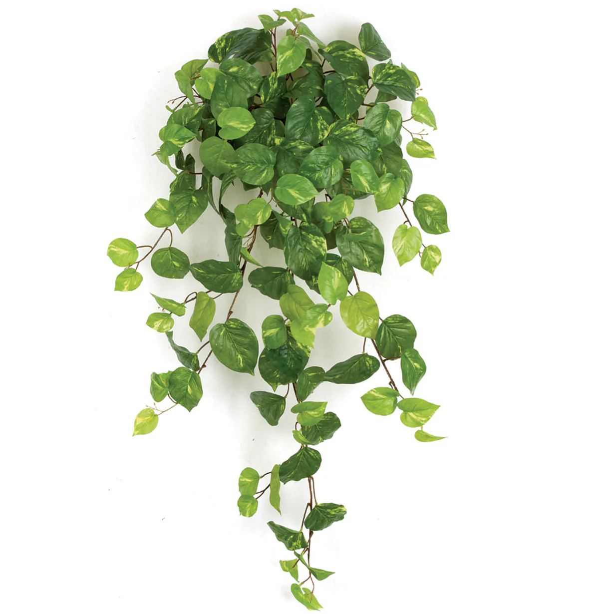 48" Soft-Touch Plastic Hanging Pothos Plant -Green/Cream (Pack of 4)