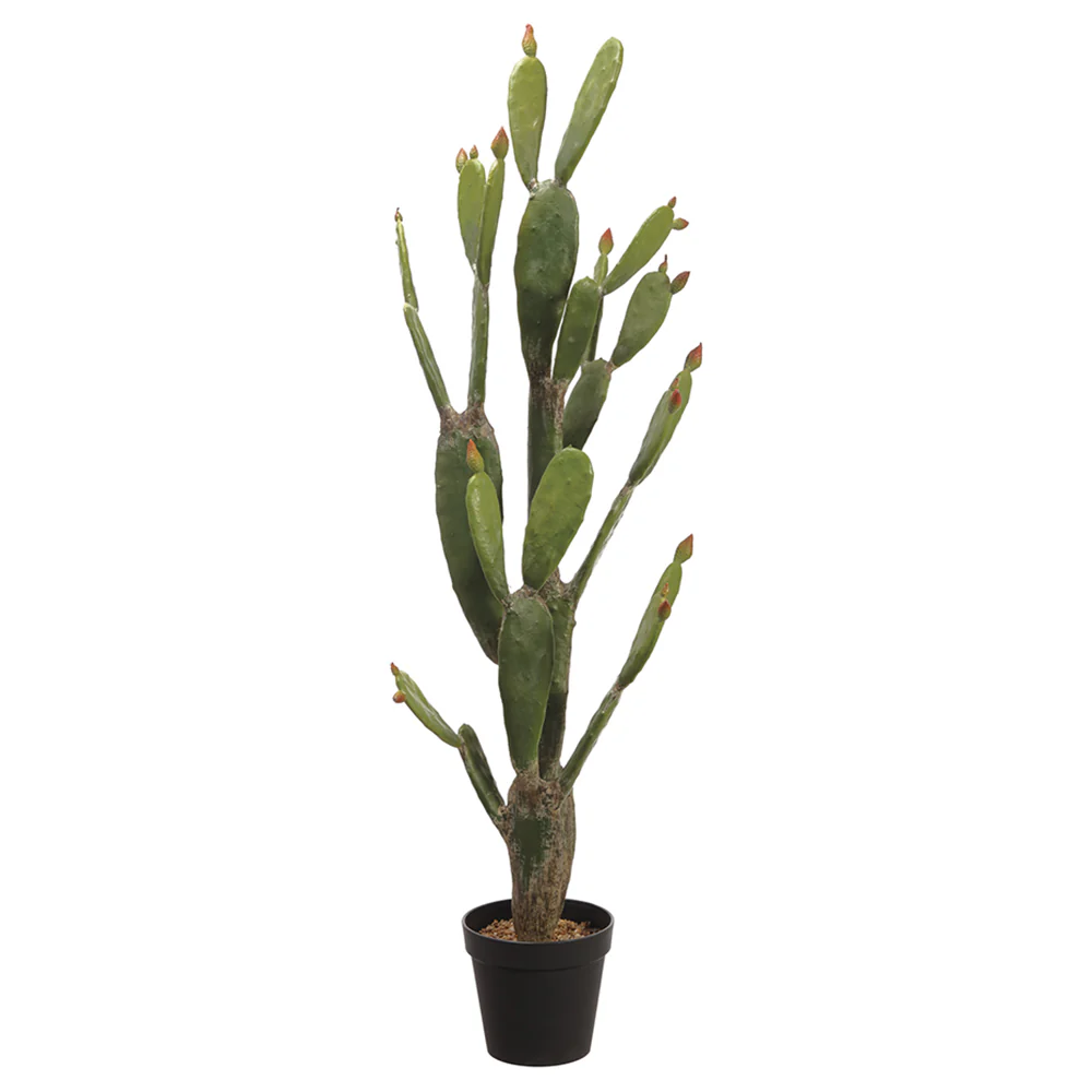 4'9" Artificial Bunny Ear Cactus Plant w/Pot -Green