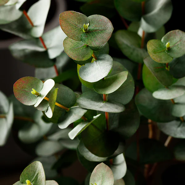 49" Eucalyptus Silk Plant -Green/Gray (Pack of 2) - Image 3