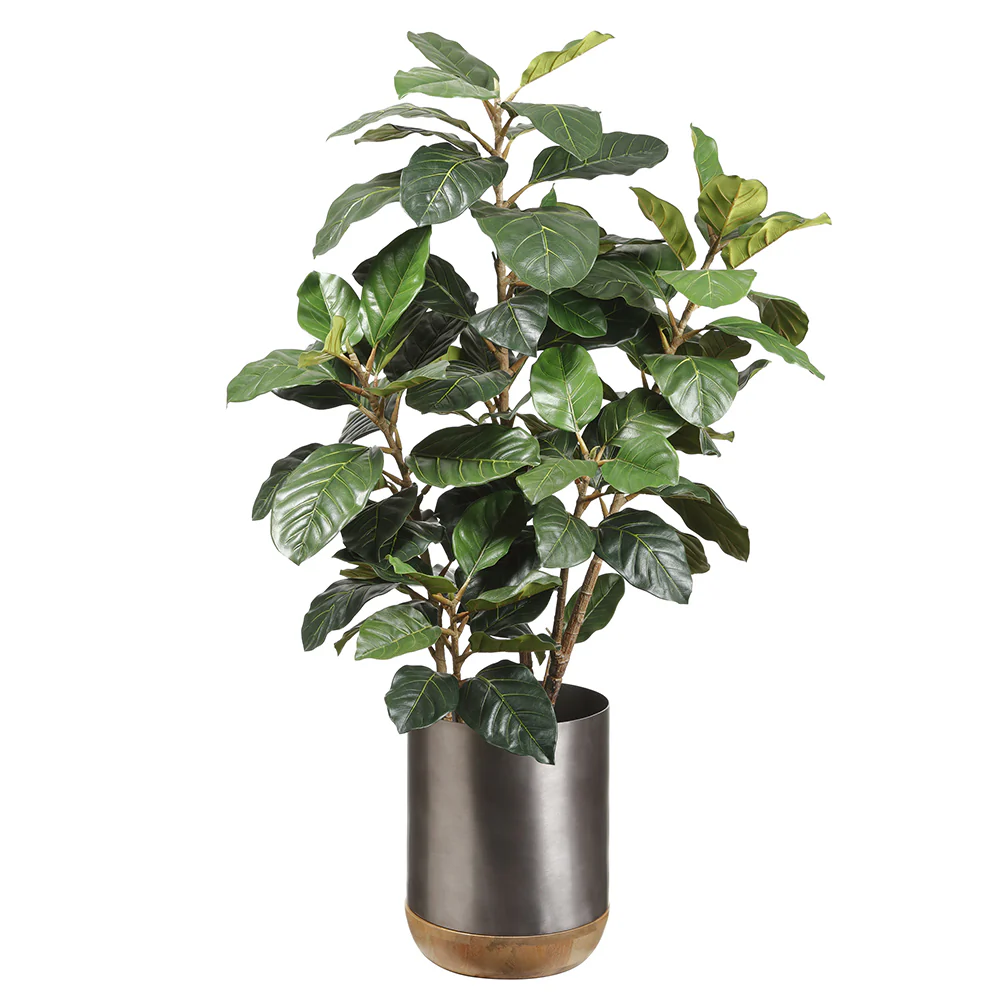 4'9" Silk Ficus Tree w/Planter -Green