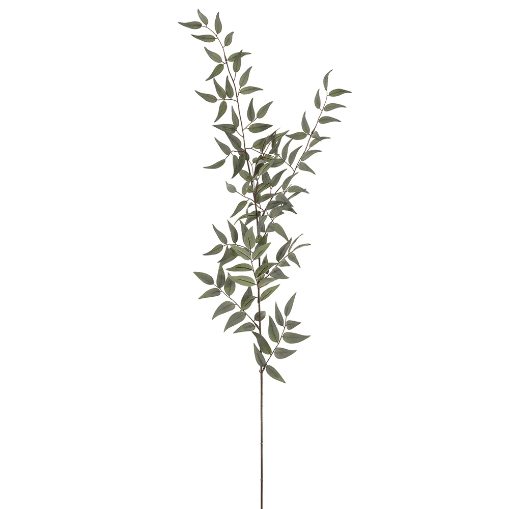 49" Silk Italian Ruscus Leaf Stem -Green (Pack of 12)