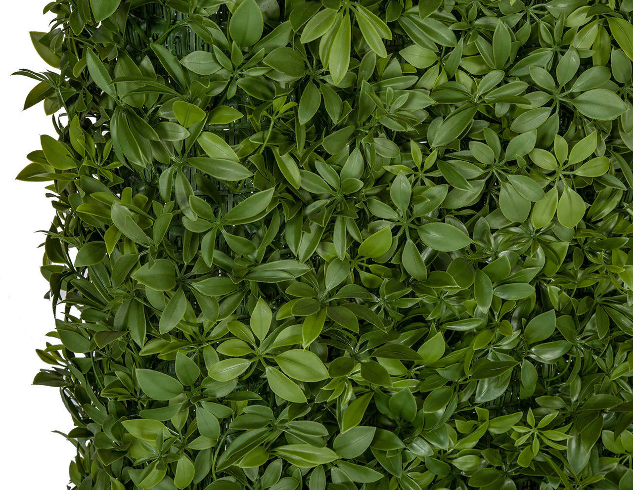 49"Hx48"Wx10"D Outdoor UV-Resistant Artificial Schefflera Leaf Topiary Hedge -2 Tone Green - Image 4