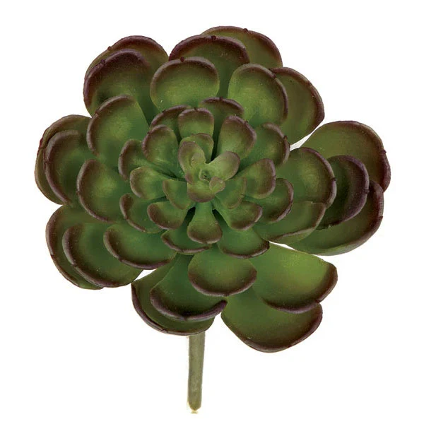 4"HX4"W Artificial Echeveria Stem -Green/Purple (Pack of 12)