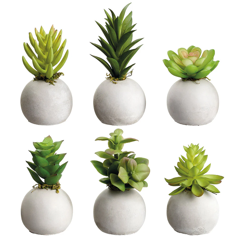 5.5" Set Of Assorted Succulent Garden Artificial Plants w/Cement Pots -2 Tone Green